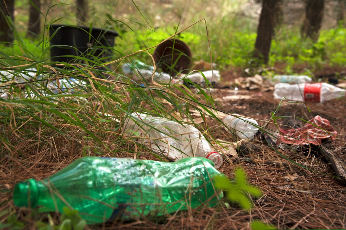 Government to scrap the current £250,000 limit on litter penalties the Environment Agency and Natural England can impose on businesses.