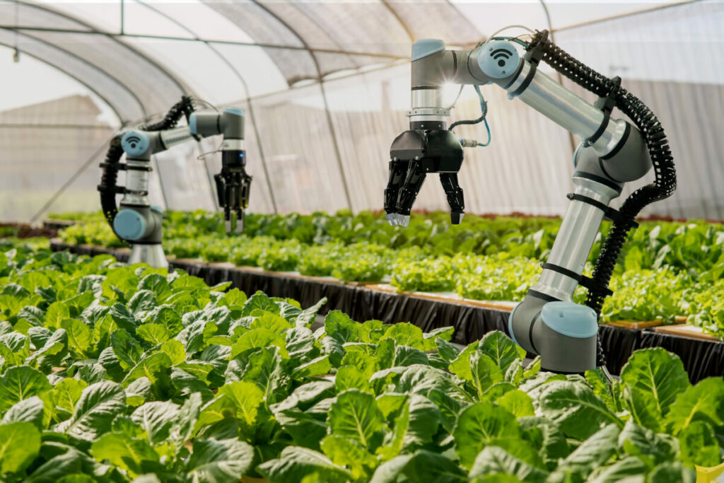 Nineteen robotic farming projects will receive funding as part of a £12.5 million government fund to boost productivity, food security and sustainable farming practices.