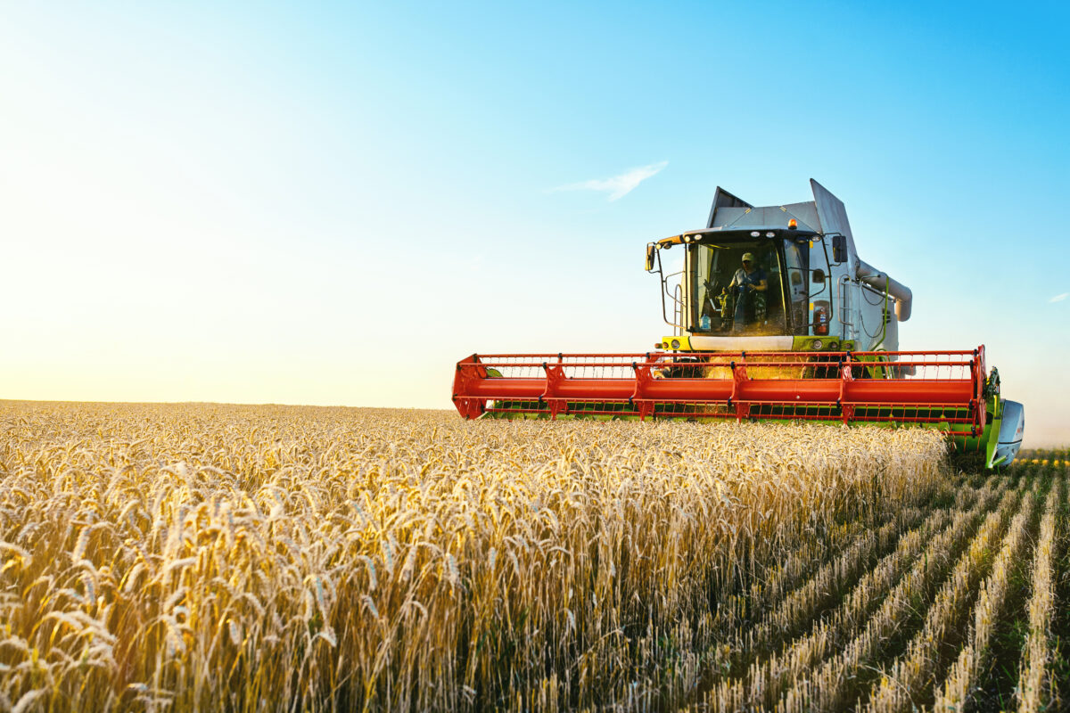 Tesco farmers have agreed to plant more crops this year, amid fears about the impact of climate change on the harvest.