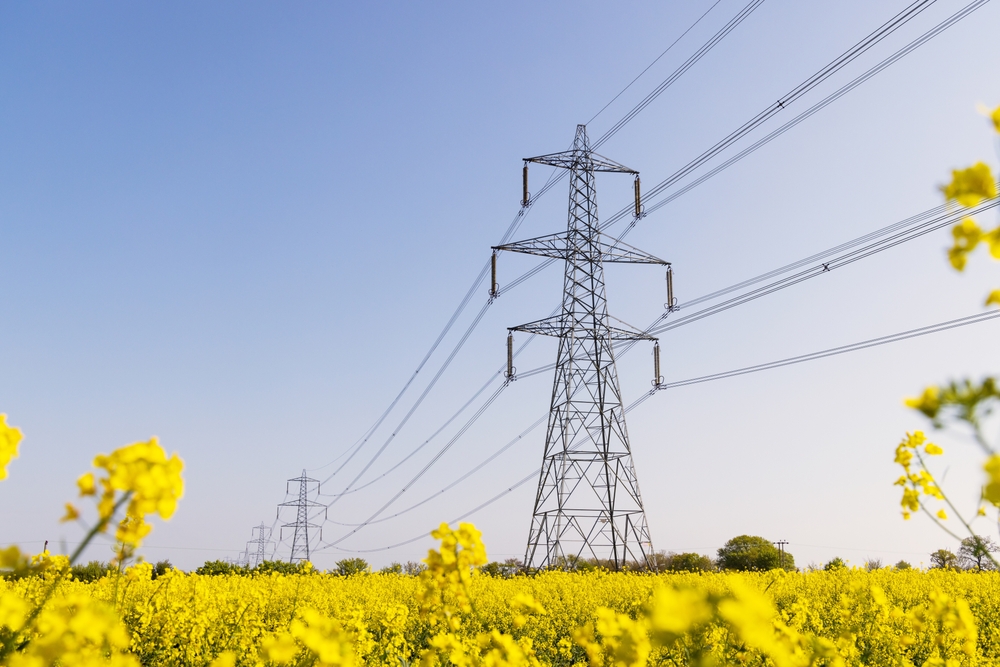 National grid Electricity pylons in a field of rape seed flowers in full bloom on a sunny day. Hertfordshire, UK