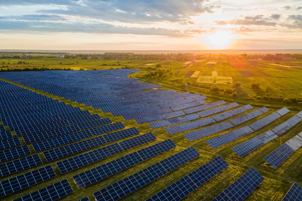 Aerial view of large sustainable electrical power plant with many rows of solar photovoltaic panels for producing clean electric energy at sunrise. Renewable electricity with zero emission concept/ Co-op