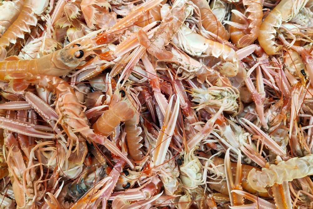 Close-up of a stack of langoustines - used in scampi - on a fishmonger's stall.