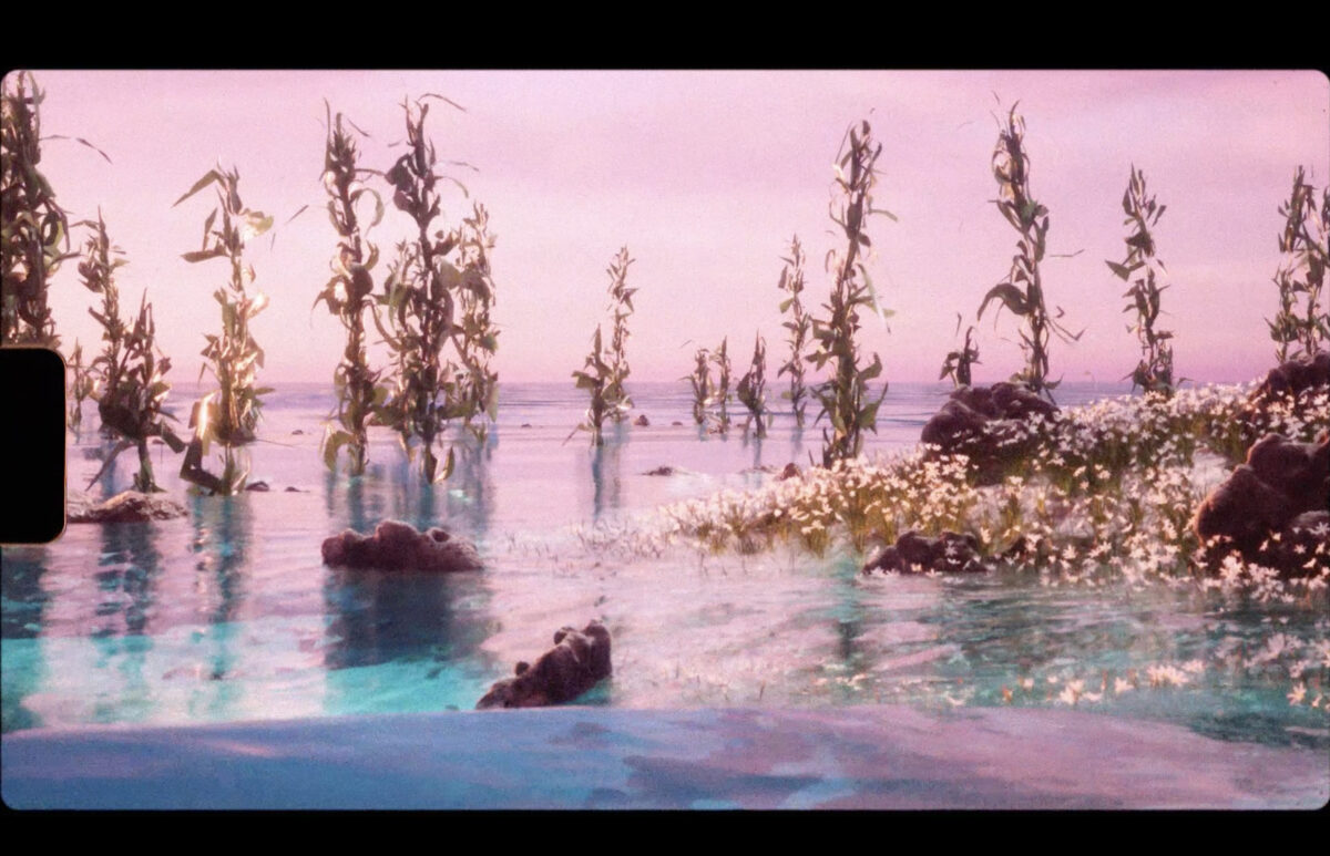 Pink landscape image from animated short film. To mark the start of COP28, Oxfam and short film eco-streamers WaterBear have released a series of animated films to amplify the voices of global climate activists.